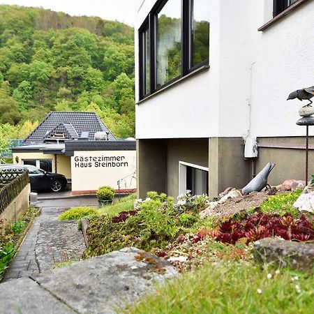 海姆巴赫 Gaestehaus Steinborn酒店 外观 照片